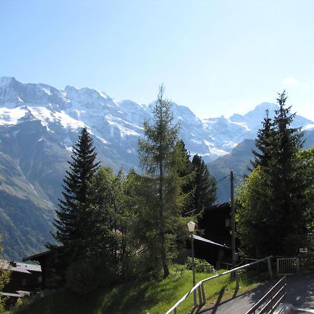 Chalet Schoenbuehl Mürren Exteriör bild