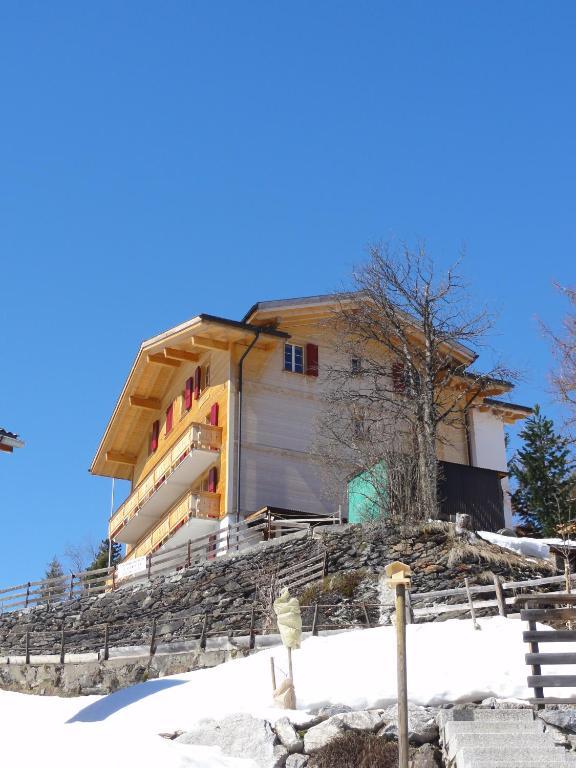 Chalet Schoenbuehl Mürren Exteriör bild