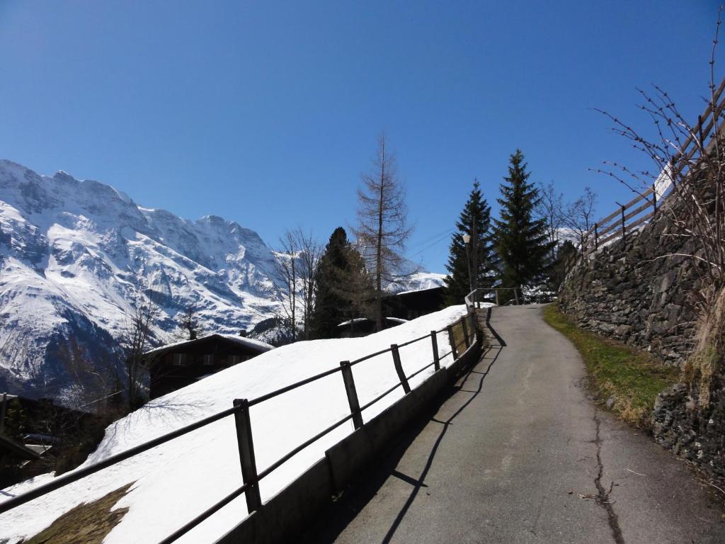 Chalet Schoenbuehl Mürren Exteriör bild