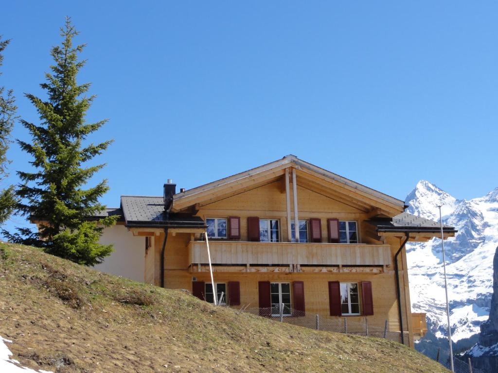 Chalet Schoenbuehl Mürren Exteriör bild