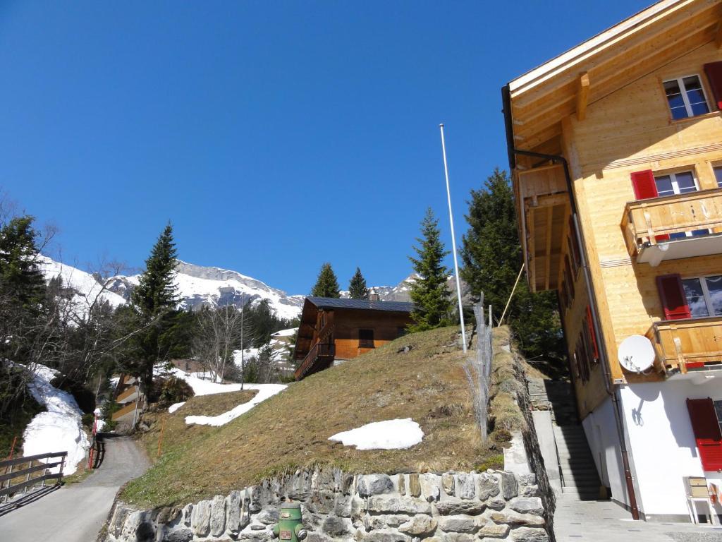 Chalet Schoenbuehl Mürren Exteriör bild