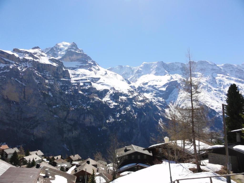Chalet Schoenbuehl Mürren Exteriör bild